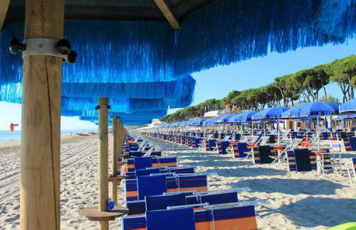 Ficus 2 Pineto Vacanza - Foto 8