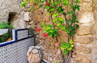 Los Caños de La Casa Viva - Foto 12