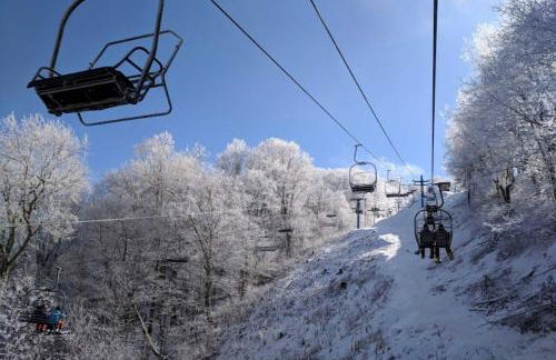 Maggie Valley Cabin with Private Hot Tub and Game Room - Foto 42