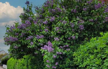 Ferienwohnung zum Sollingtor - Foto 14