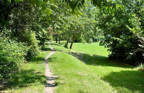 The Beekeeper, country escape & terrace near Parma - Photo 40