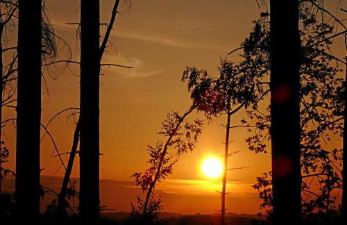 Haus Berghoff - Foto 13