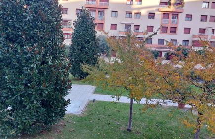 Il Girasole - Foto 15