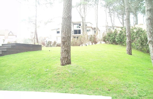 Avutarda de Carilo - Photo 66