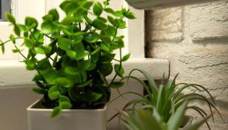 The Comfy Cottage - Foto 4