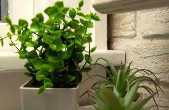 The Comfy Cottage - Foto 4