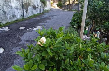 La Terrazza Quisisana Sorrento Coast - Foto 72
