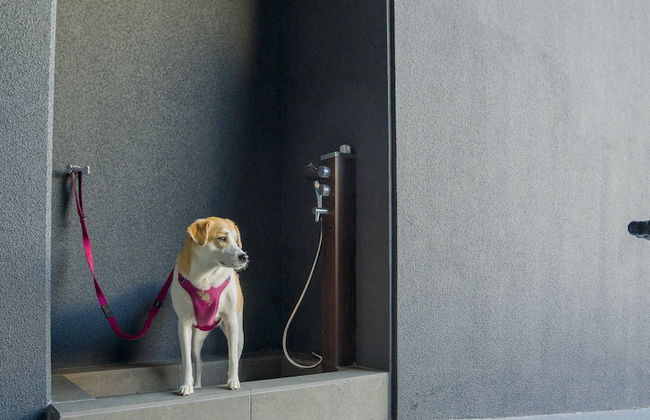 RakutenSTAY FUJIMITERRACE HakoneAshinoko - Photo 75