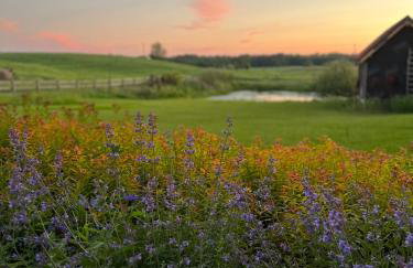 Cuda Wianki Mazury - Foto 24