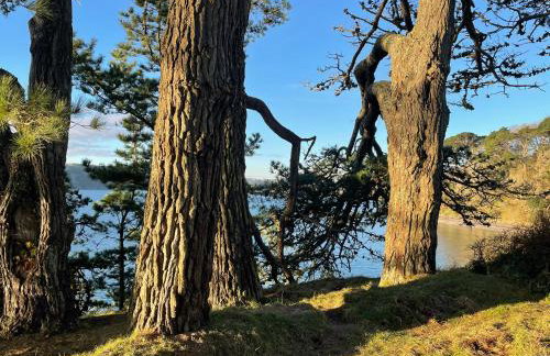 Tresahor Studio with sauna - Foto 27