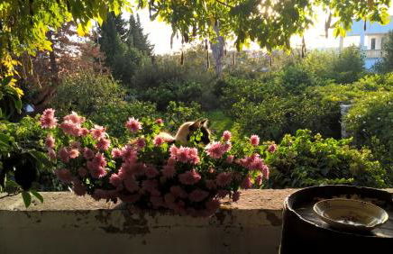 Casale del Forno - Foto 49