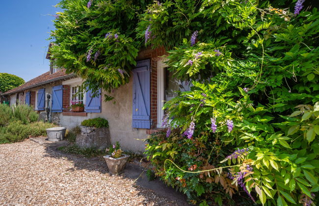 La Bachelotte - Foto 23