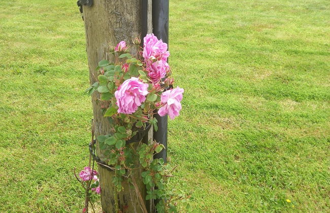 Stunning 1-bed Apartment Valentia Island - Photo 22