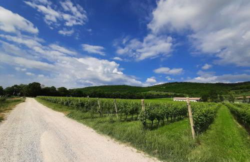 Agriturismo Andreis Alloggi - Foto 9