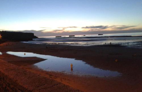 Les chats pitres Maison au calme rénovée avec jardin, terrasse aménagée, transats, abri à vélo, parking gratuit, 5 mn à pied du centre Bayeux proche des plages du débarquement - Photo 51