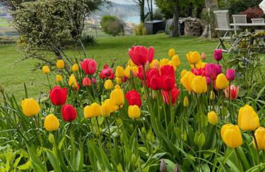 The Old Fenwick House - Foto 23