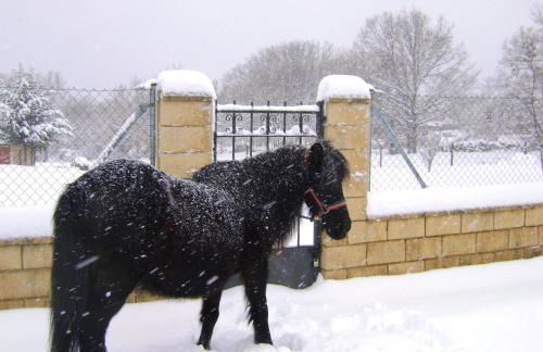 Eco Urbión - Foto 140