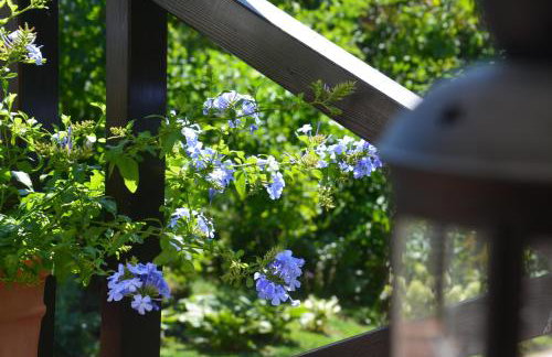 Leśna 6 - House with a garden - Foto 24