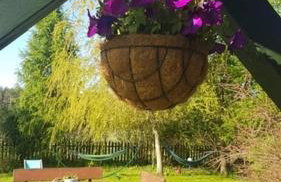 Zielony Domek z jacuzzi - Foto 3