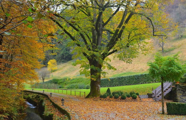 Magnificent Manor in Vresse-sur-semois With Sauna - Foto 32