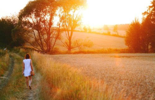 Nasz Dębowiec - dom dla 15 osób, sauna, widok na staw, wielka działka - Photo 59