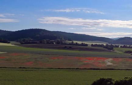 Ferienwohnung "Auszeit" - Foto 30