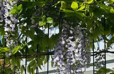 Villa Marta Casa de Indianos Passive House - Foto 36