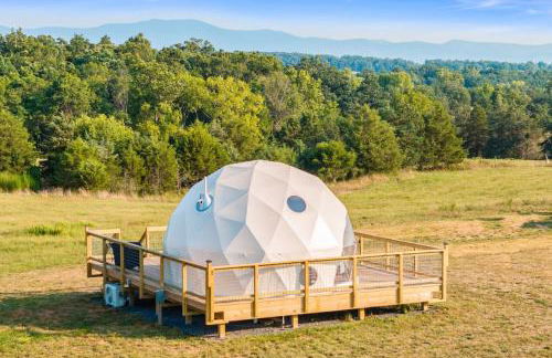 Faraway Geodome with Views - Photo 29