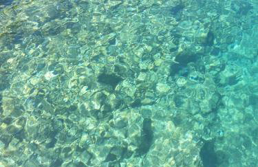 Zadar Kali Booking Franov Residence on island Ugljan with the pool, BBQ and beautiful sea-view! - Foto 43