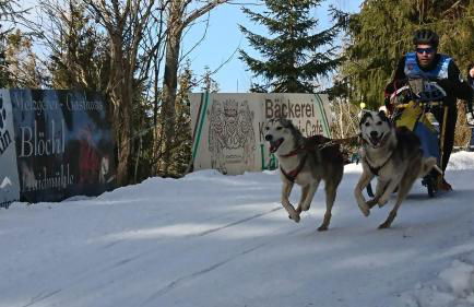 "Das Jagdhaus"- Chalet am Skigebiet mit Sauna - Foto 22