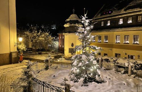 Panorama Schwarzenberg - Foto 19