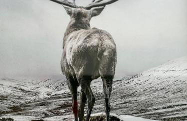 Panorama Karkonoszy - Apartamenty KOMFORT z widokiem na Śnieżkę i Aquapark - Photo 21