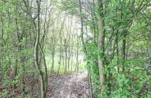 Brandon House Farm Yurt - Foto 27