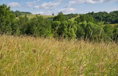 Anielskie Wzgórze Domek z Widokiem & Kuźnia Skarbów - Foto 50