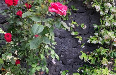 Villa in affitto - Photo 31