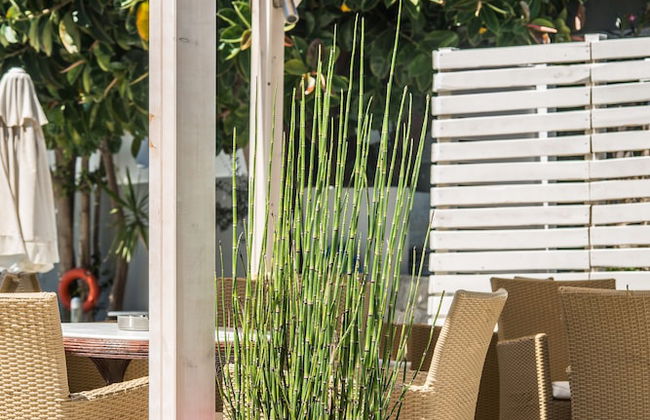 Anika Studios - Foto 36