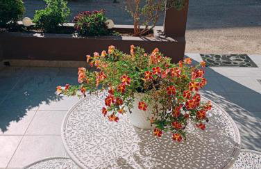 Comfort House Mimosa 1 - Foto 35