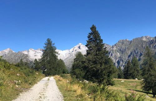 Baita Martin da Fist - Foto 75