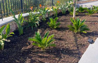 ARYVE Townhouse Rhodos mit Akropolis- und Meerblick sowie Jacuzzi und tollen Sonnenterrassen und Garten - Photo 42