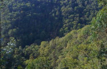 Casa el Fanoso - Foto 30