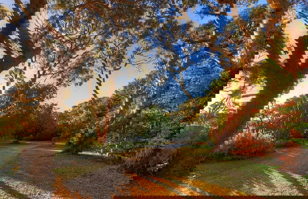 Stanley Lakeside Spa Cabins - Foto 16