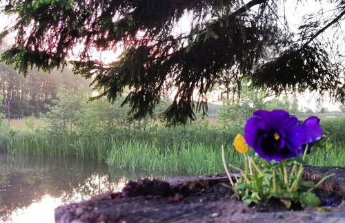 Agroturystyka Pasynki 44 - Foto 28