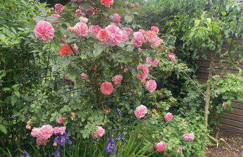 Ferienhaus Magnolie Xanten - Foto 5