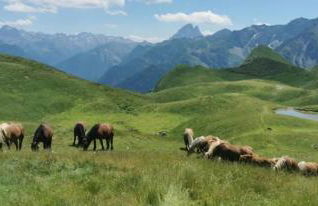 Ossau T2 5 personnes 1 chambre draps serviettes inclus parking moustiquaires tout confort près du ski - Foto 22