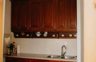 Kuća za odmor "Šokačka lady" - Foto 15