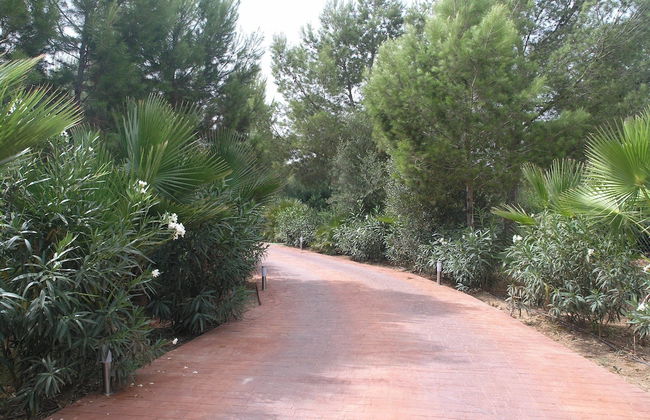 Villa Son Menusset, Piscina privada, WiFi, Sabor a Naturaleza - Foto 12