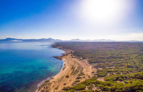 Ideal Property Mallorca - Son Serra - Foto 40