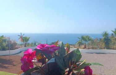 Vivaldi Summer - Foto 8