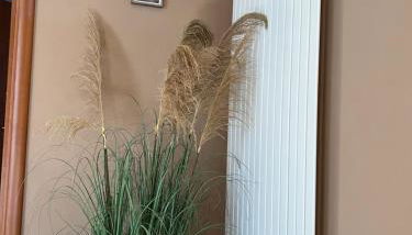 Le joli Lac - Foto 5