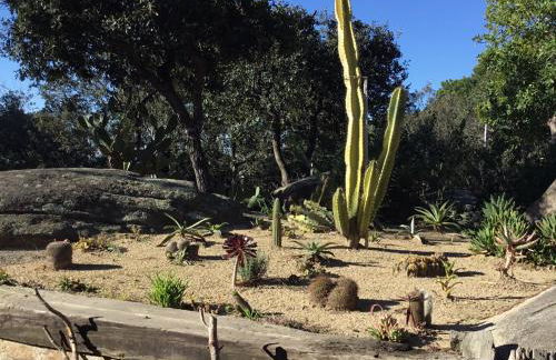 Casa Feliz - Foto 17